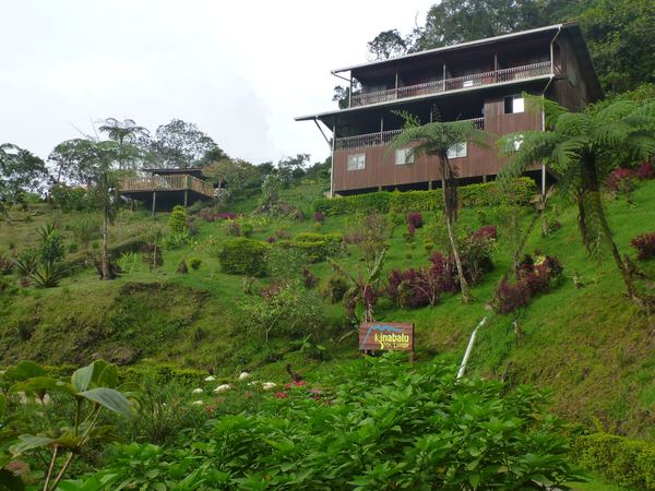 Kinabalu mt. lodge - za oknem vpravo dole jsem tři noci mrznul