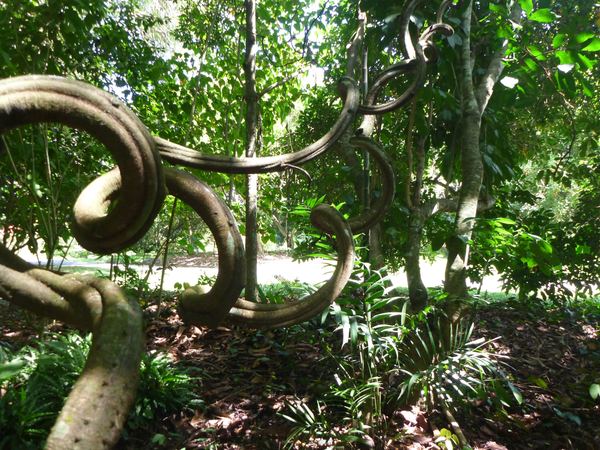 Borneo a Brunej – fotografie 56