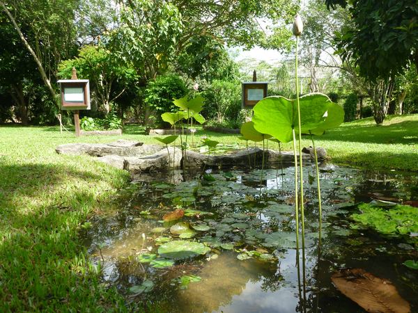 Borneo a Brunej – fotografie 60
