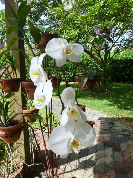 Borneo a Brunej – fotografie 66