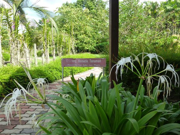 Borneo a Brunej – fotografie 72