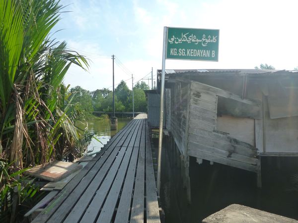 Borneo a Brunej – fotografie 81