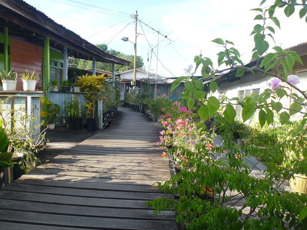 Borneo a Brunej – fotografie 89