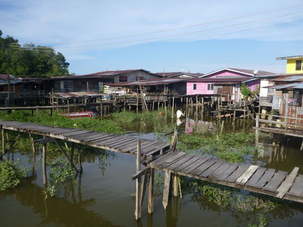 Borneo a Brunej – fotografie 90