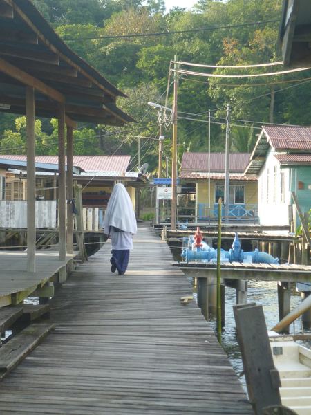 Borneo a Brunej – fotografie 105
