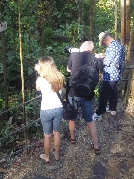 Turistů je tu o trochu víc než orangutanů