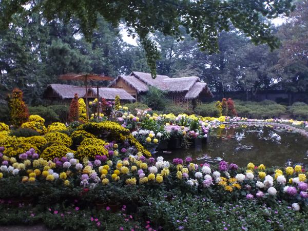 The Humble Administrator's Garden
