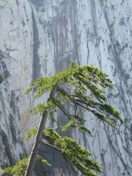 Hua Shan