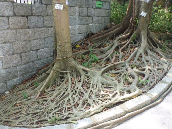 Hong Kong – fotografie 33