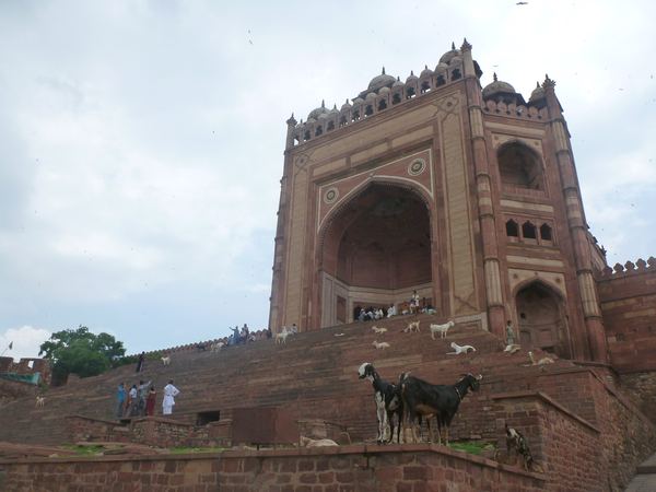 Po 40 kilometrech děláme krátkou zastávku Fatehpur Sikri. Město bylo v 16. století vybudováno panovníkem mughalské říše Akbarem Velikým, který odtud chtěl panovat.