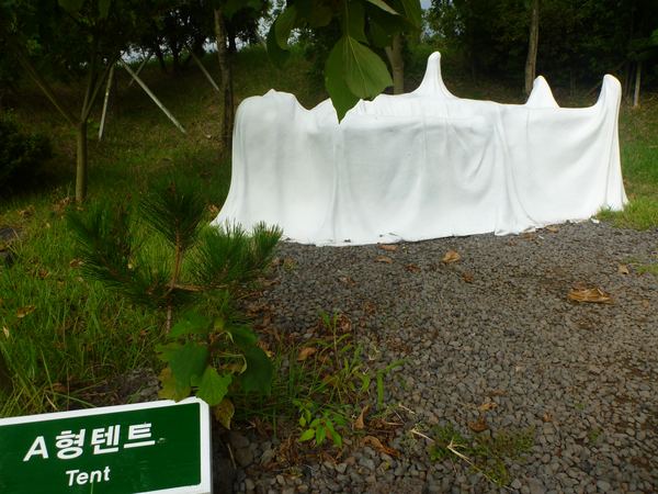 Jižní Korea II – fotografie 73