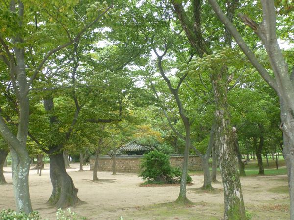 Lesík Gyerim v Gyeongju