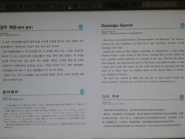 Jižní Korea II – fotografie 118