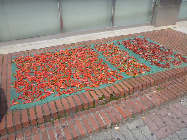 Běžné sušení chili v ulicích