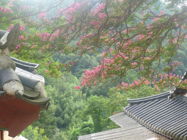 Jižní Korea – fotografie 68