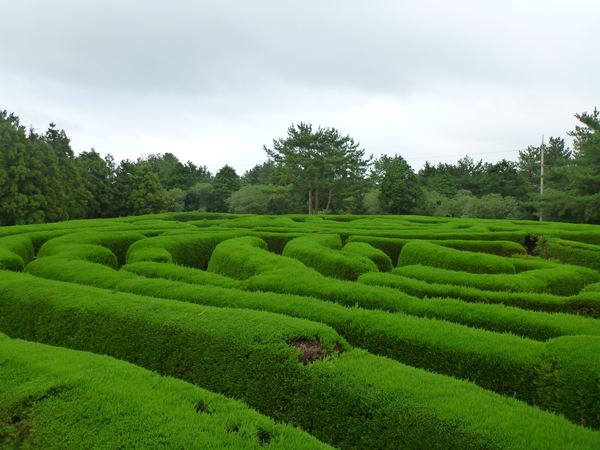 Kimnyoung park