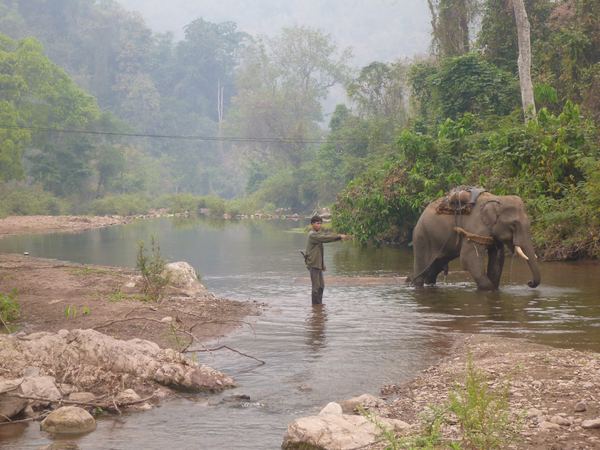 Laos – fotografie 23