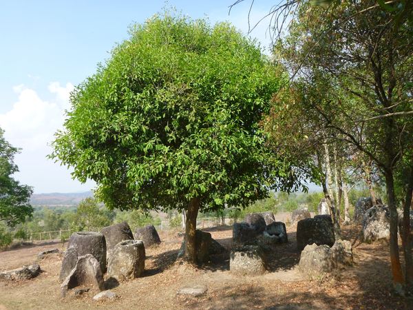 Laos – fotografie 112