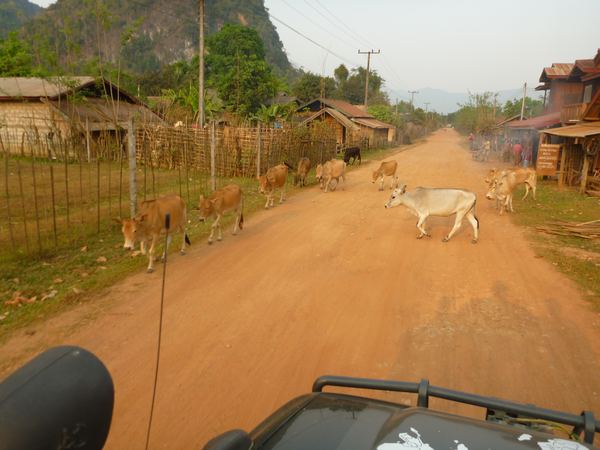 Laos – fotografie 132