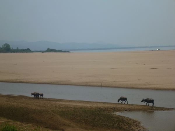 Laos – fotografie 180