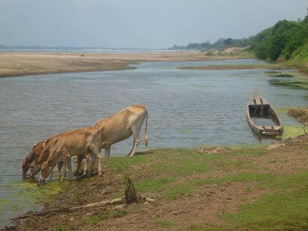 Laos – fotografie 181