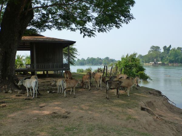 Laos – fotografie 231