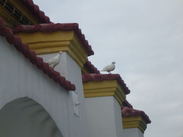 Pevnost Guia