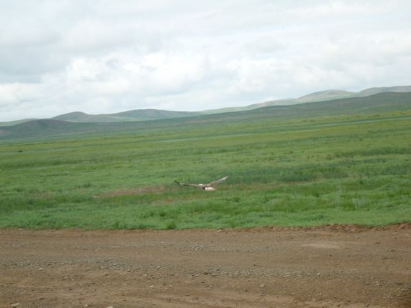 Mongolsko II – fotografie 24