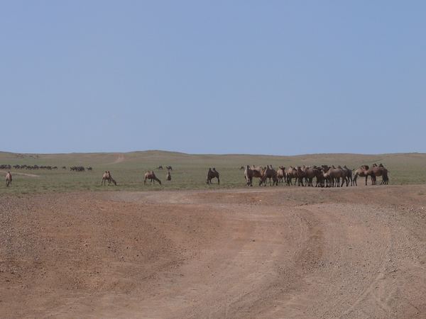 Mongolsko III aneb viděno Weirovým objektivem – fotografie 103