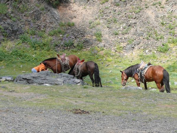 Mongolsko III aneb viděno Weirovým objektivem – fotografie 137
