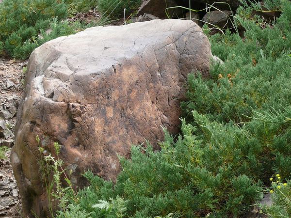 Mongolsko III aneb viděno Weirovým objektivem – fotografie 168