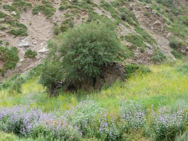 Mongolsko III aneb viděno Weirovým objektivem – fotografie 170