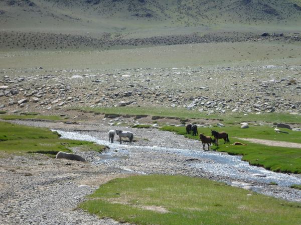 Mongolsko – fotografie 32
