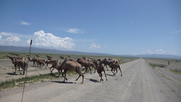 Mongolsko – fotografie 40