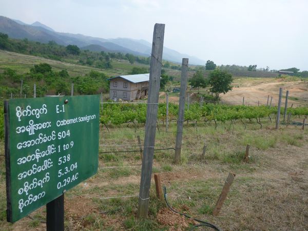 Myanmar II – fotografie 17