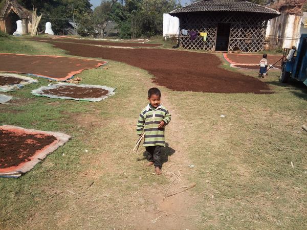 Myanmarem s mobilem v ruce – fotografie 60