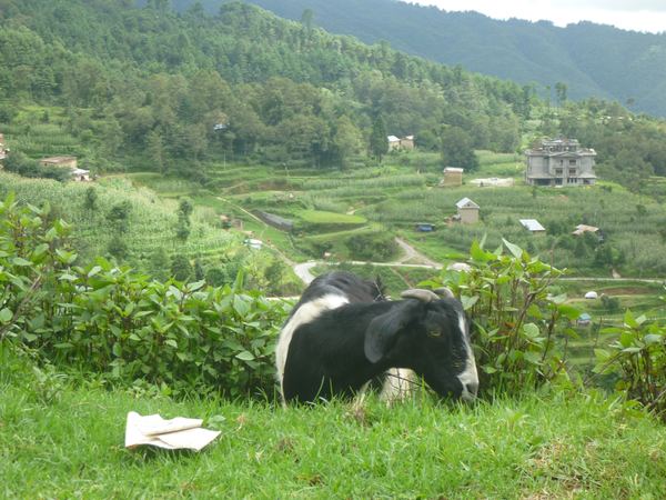 Naší poslední navštívenou destinací v Nepálu je vesnice Nagarkot.