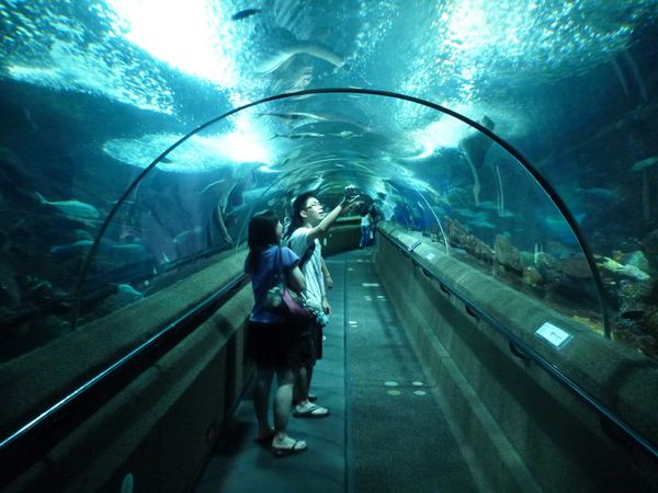 Singapur – fotografie 25