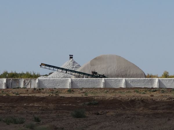 Právě je čas sběru bavlny, takže po cestě míjíme tyto obrovské hroudy. Turkmenistán ročně vyprodukuje kolem 300 000 tun bavlny, což ve světovém měřítku dělá deváté místo.