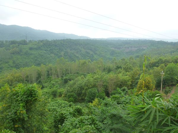 Vietnamské DMZ