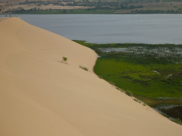 Mui Ne - bílé písečné duny