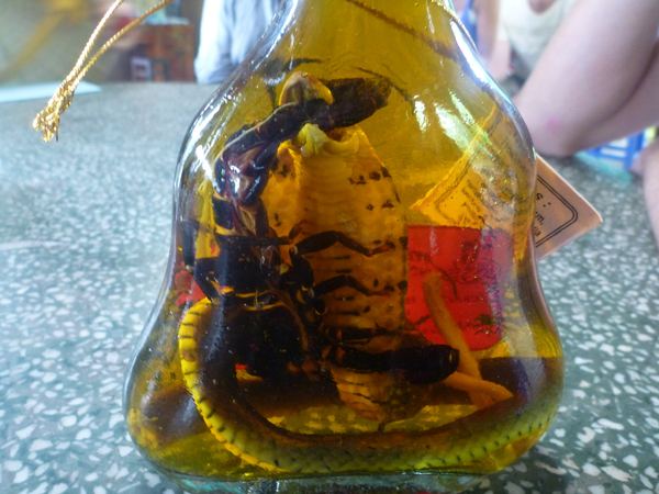 Delta Mekongu - minikobra žeroucí škorpióna, opět naloženi ve whisky