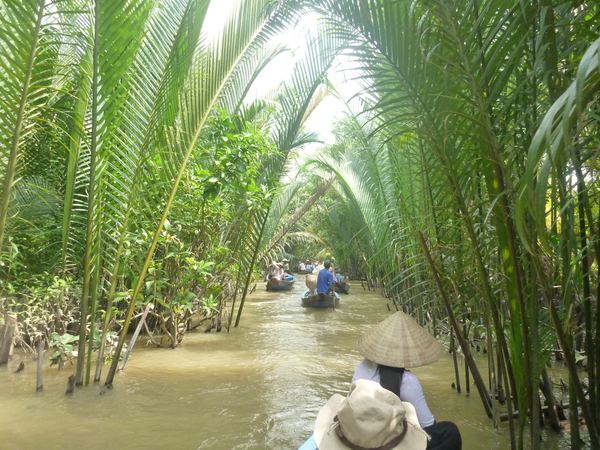 Delta Mekongu