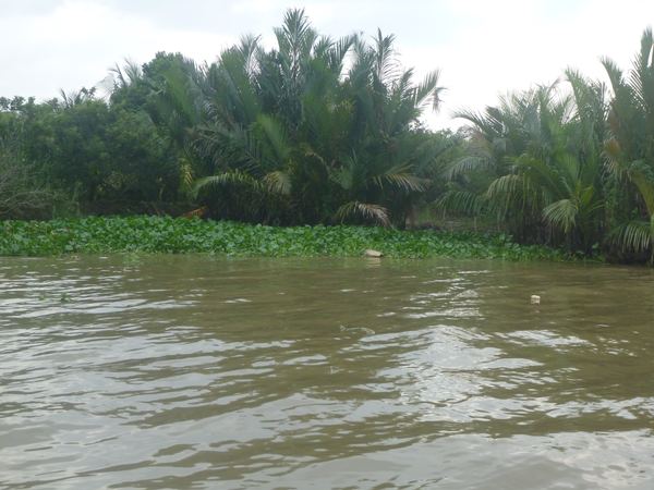 Delta Mekongu