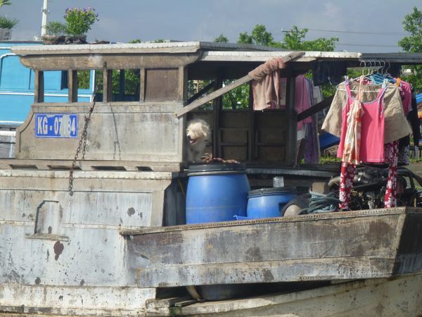 Delta Mekongu - říční trh